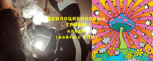 индика Алексеевка