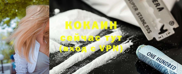 индика Алексеевка