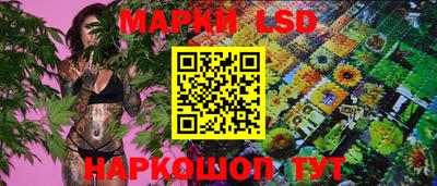 гидра Лесосибирск
