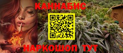 гидра Лесосибирск